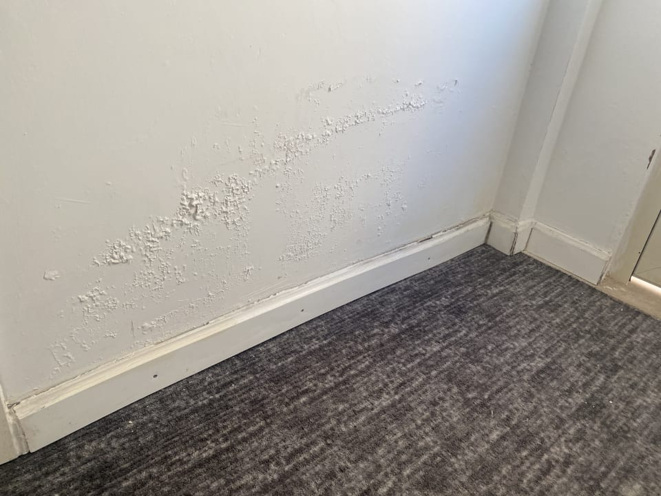 Sonstiges Well Palace Side