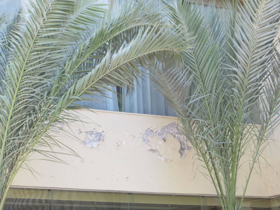 So sah es an vielen Stellen aus Riviera Aqua Park Resort