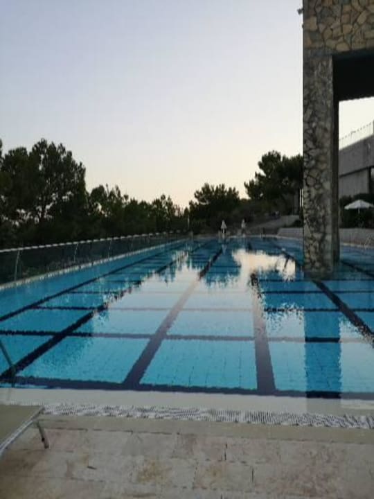 Pool TUI BLUE Seno - Adults Only