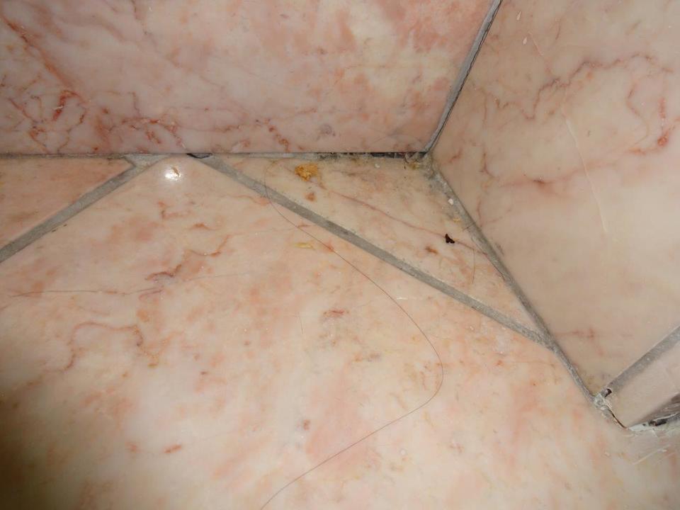 Bad Hotel Dauphine Orleans