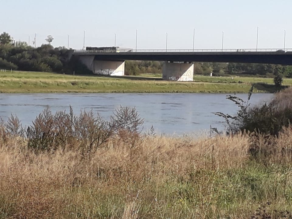 Ausblick AMEDIA Hotel Dresden Elbpromenade