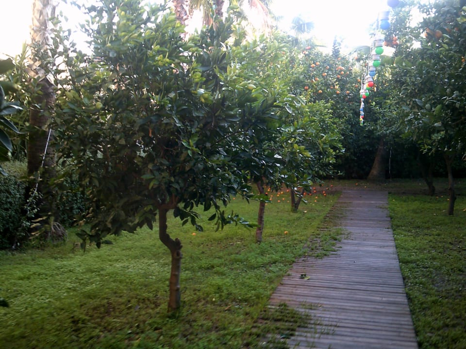 Gartenanlage Calimera Hane Garden