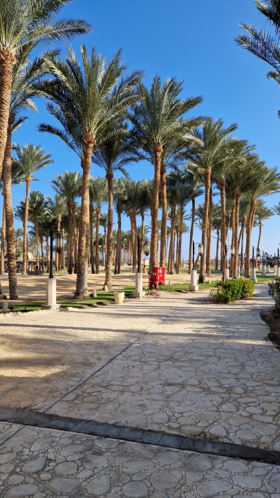 Gartenanlage Makadi Palace