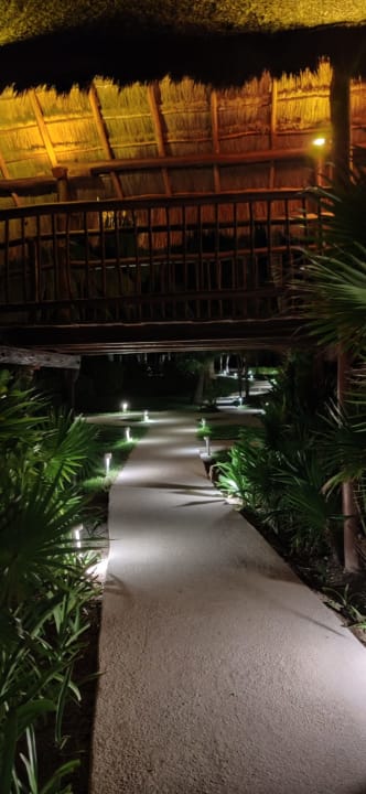 Gartenanlage Akumal Bay Beach & Wellness Resort