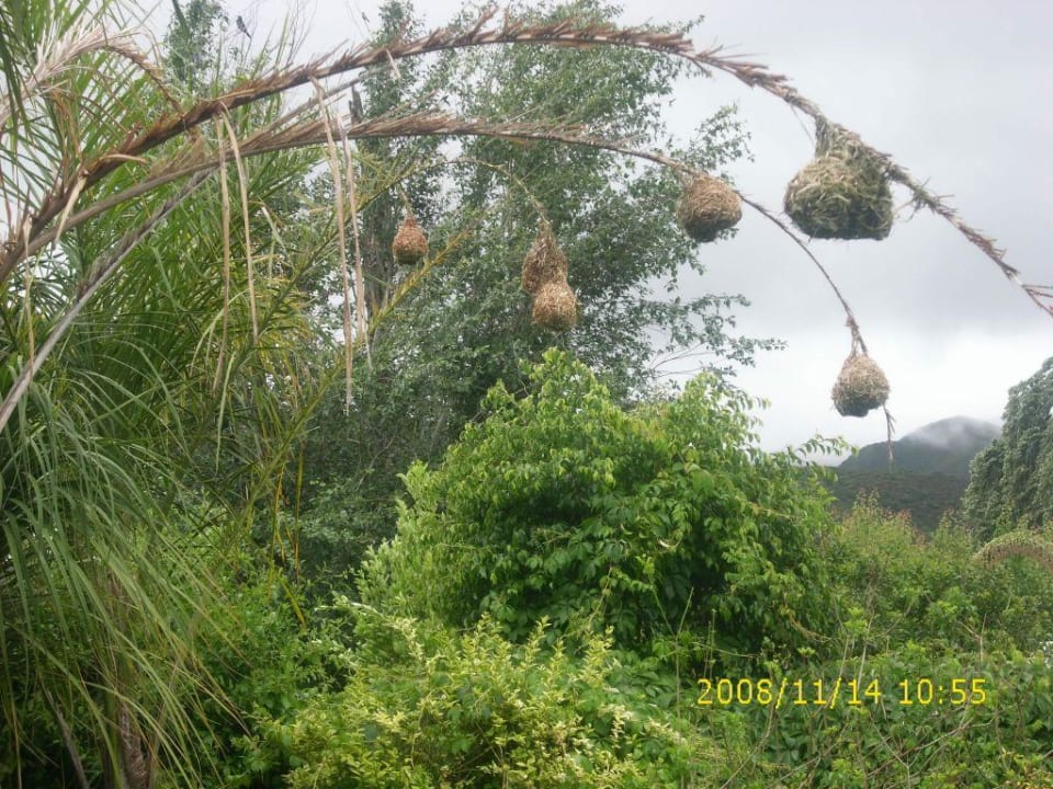 Eigenheim von Familie Weber Altes Landhaus Country Lodge