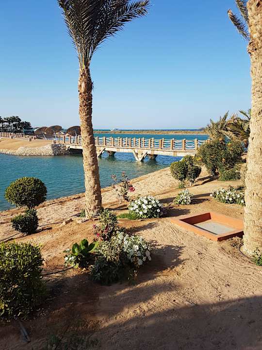 Sheraton Miramar  Sheraton Miramar Resort El Gouna