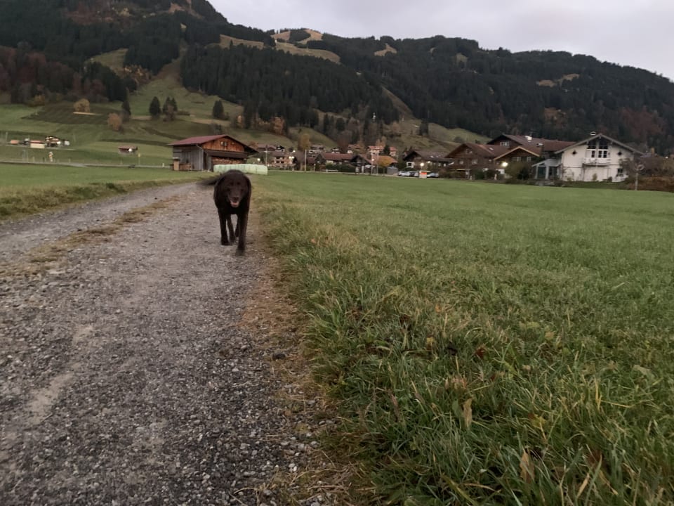 Ausblick Eldorado – Ferienwohnungen & Suiten im Allgäu