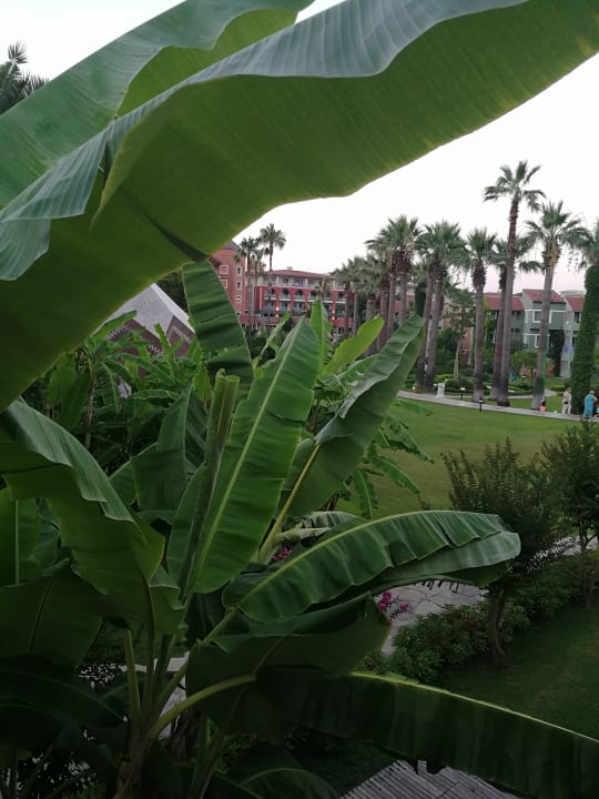 Gartenanlage Megasaray Club Belek