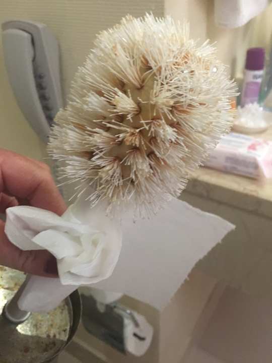 Zimmer Selectum Family Comfort Side