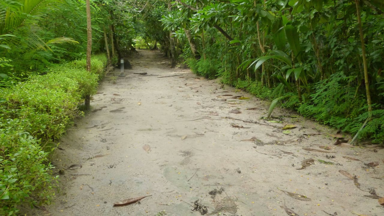 Nicht aufgeräumter Weg Filitheyo Island Resort