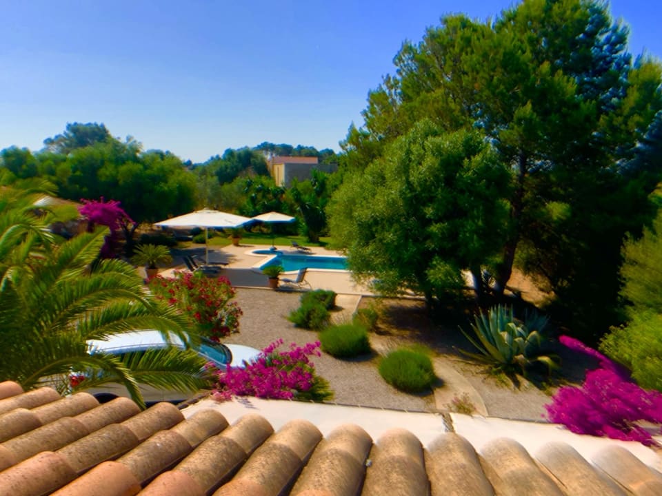 Ausblick Finca S Olivar d Es Coscois