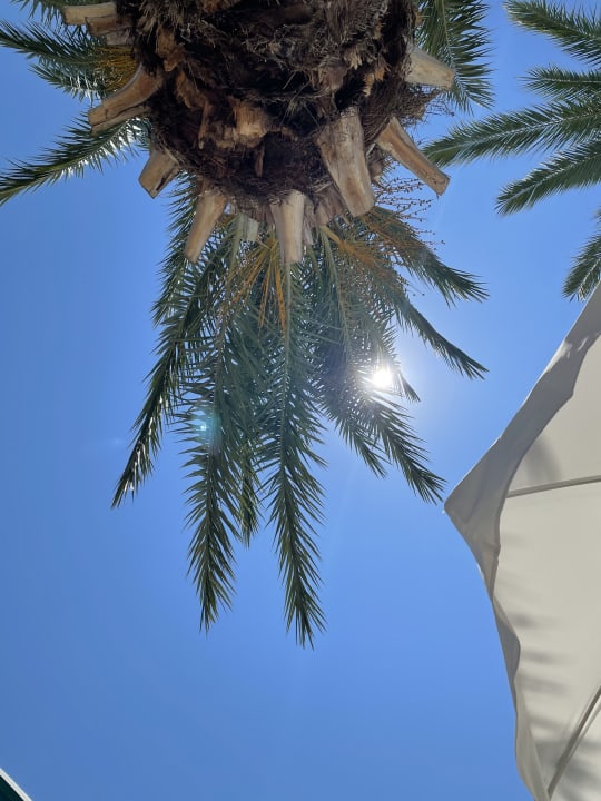 Sonstiges Labranda Alantur Resort