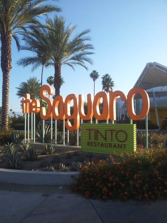 Gepflegte Außenanlage Joie de Vivre Hotel The Saguaro Palm Springs