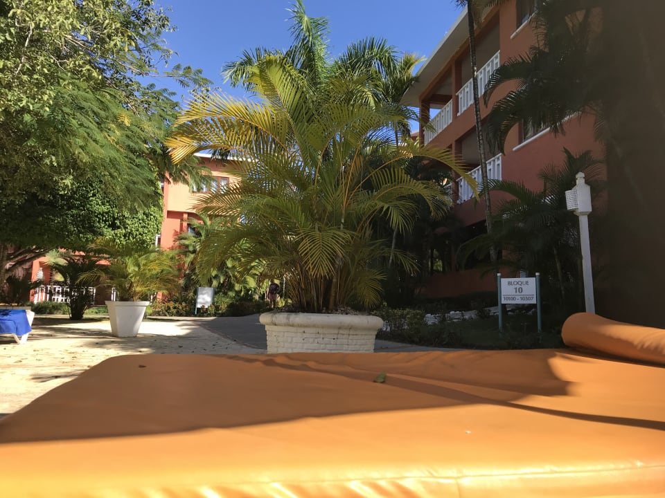 Gartenanlage BelleVue Dominican Bay