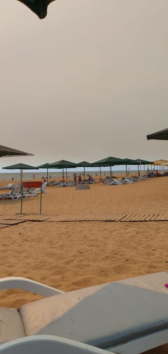 Strand Kamelya Aishen Club