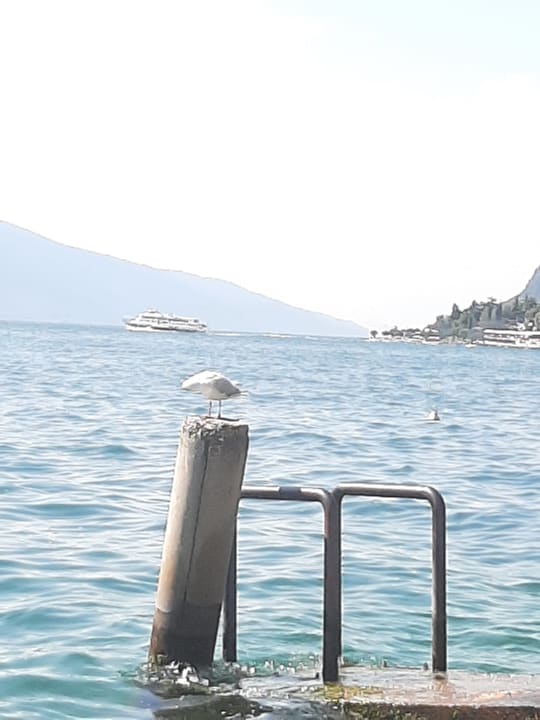 Ausblick Hotel Astor