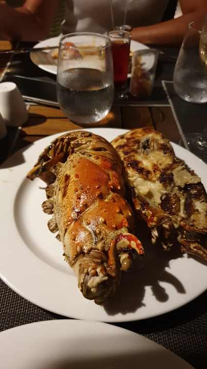 Gastro Lopesan Costa Bávaro Resort, Spa & Casino