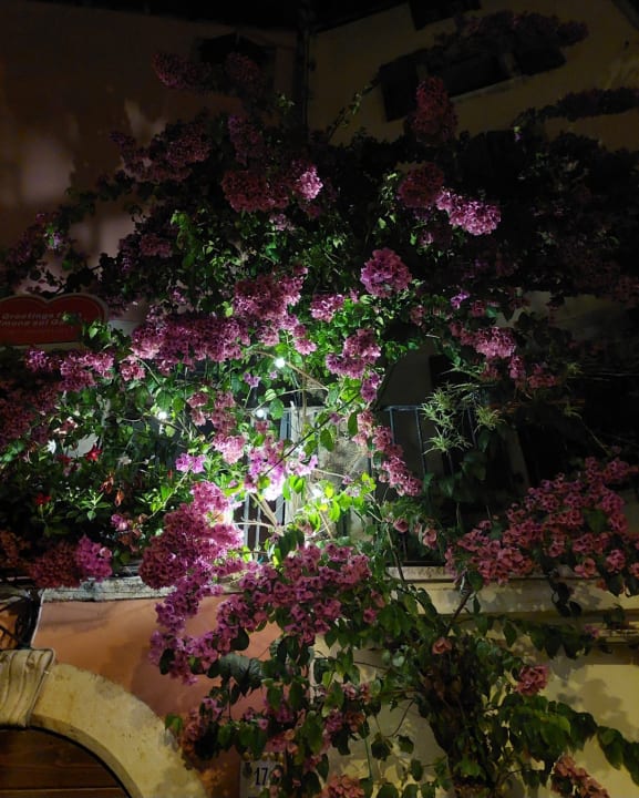 Sonstiges Hotel all'Azzurro