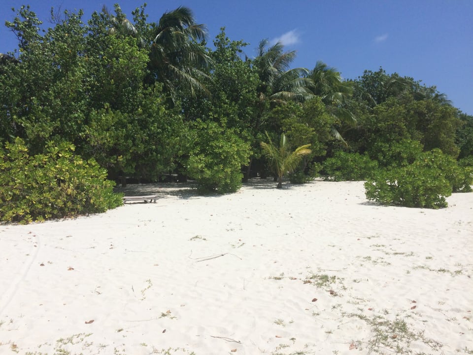 Außenansicht Kuredu Island Resort & Spa