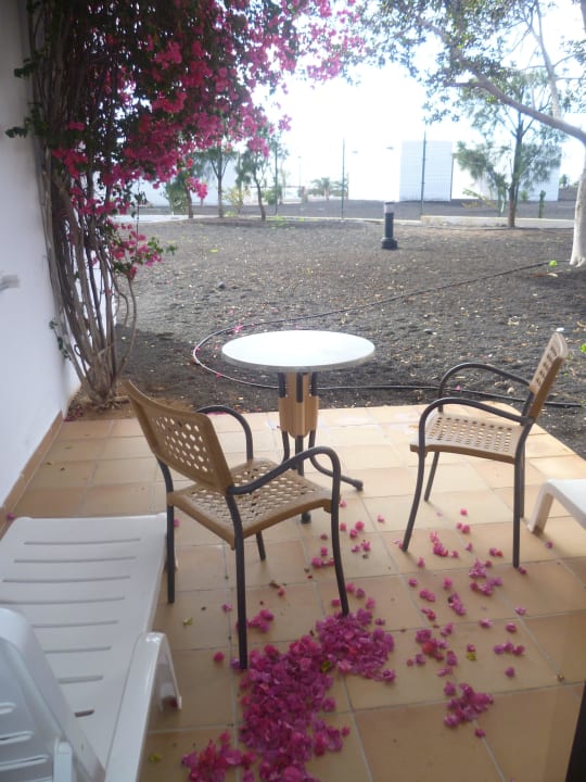 Terrasse allsun App.-Hotel Albatros