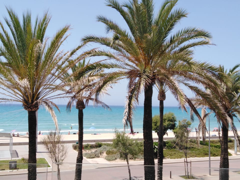 Ausblick Grupotel Acapulco Playa - Adults only