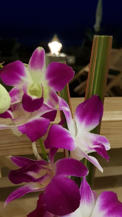 Sonstiges Best Western Premier Bangtao Beach Resort & Spa