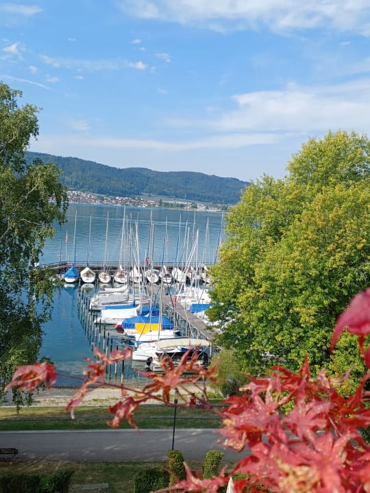 Ausblick Seehotel Adler