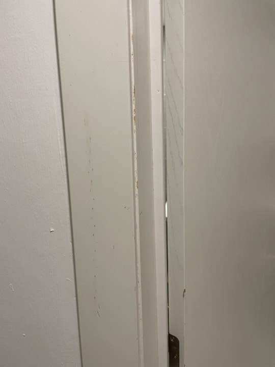 Zimmer Hotel Riu Republica - Adults only