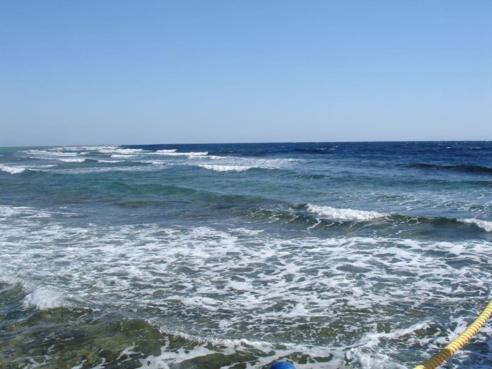 Hausriff TUI MAGIC LIFE Redsina Sharm El Sheikh