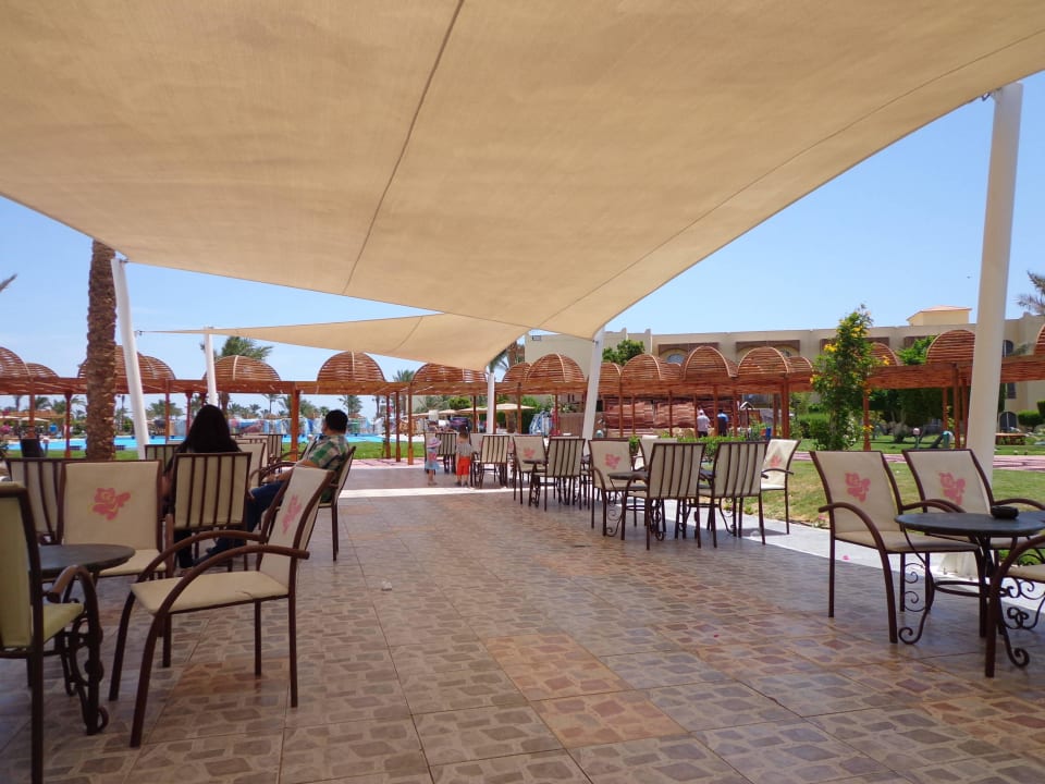 Pause machen Desert Rose