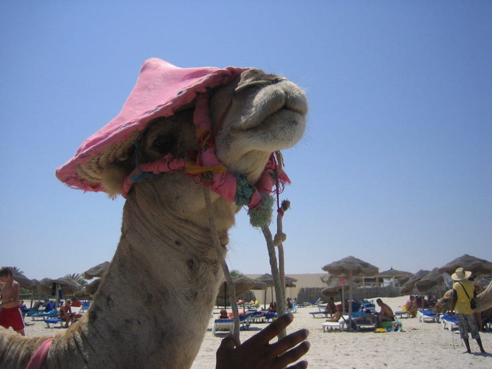 Kamel Cleopatra Iberostar Waves Mehari Djerba