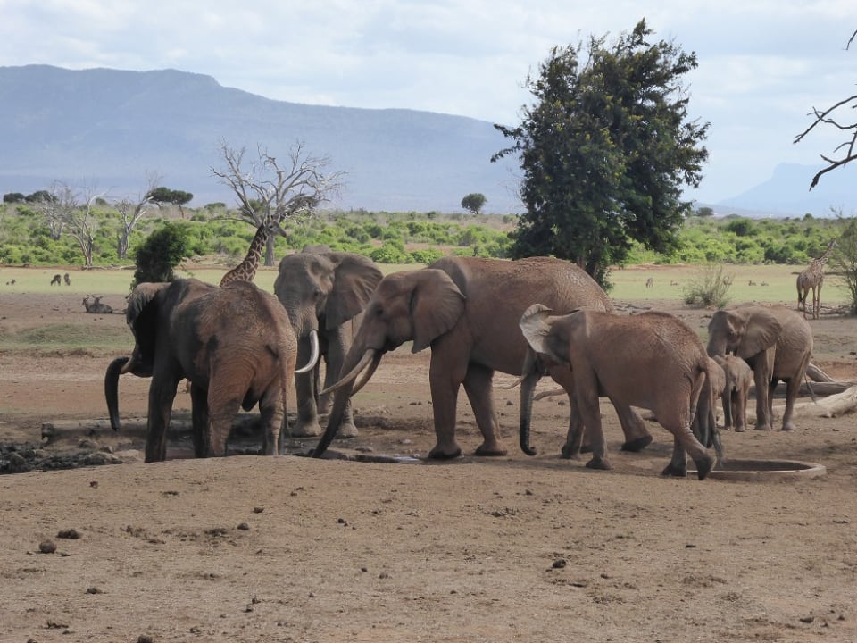 Ausblick Sentrim Tsavo Lodge