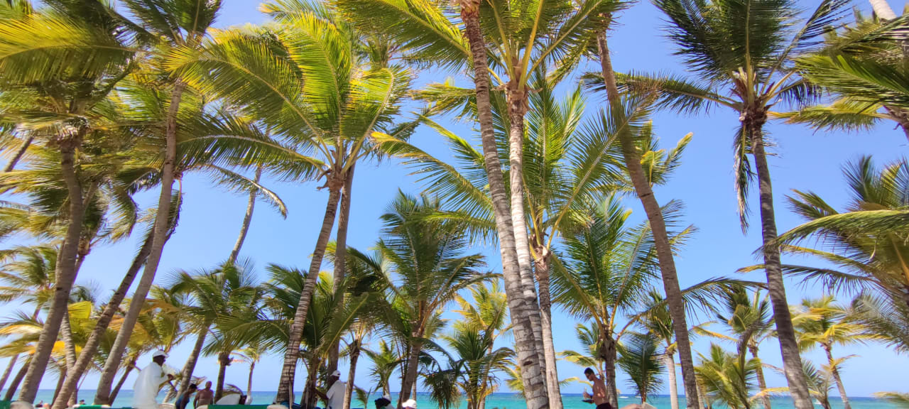 Strand Hotel Riu Palace Punta Cana