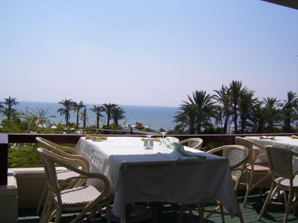 Paloma Perissia PALOMA Perissia