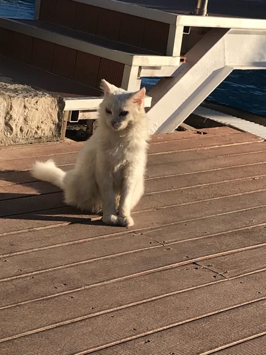 Sonstiges Lydia Maris Resort & Spa