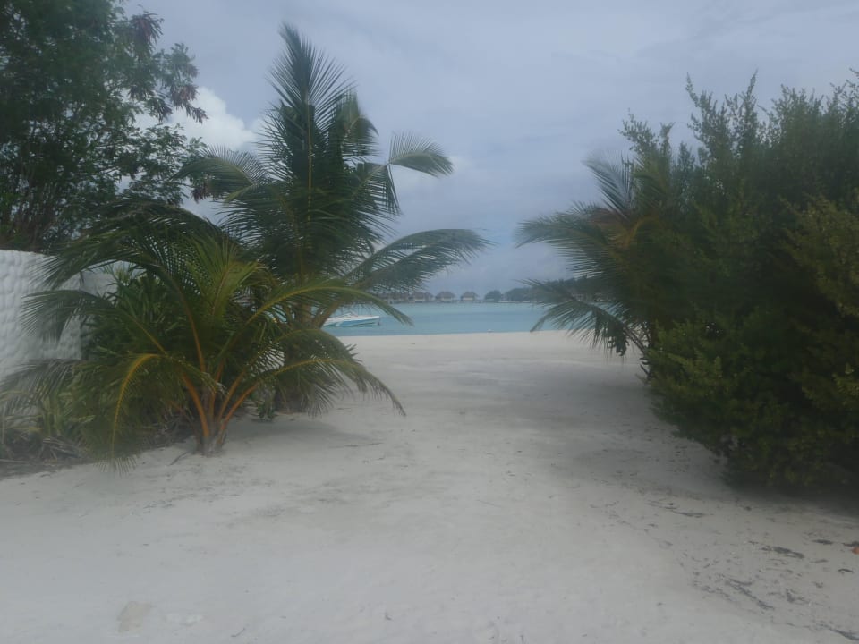 Blick auf Lagune Cinnamon Dhonveli Maldives