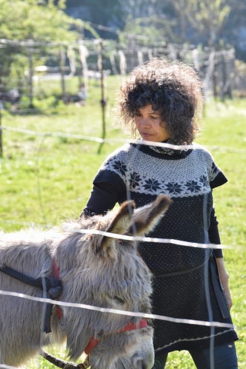 Sport & Freizeit S'Fleckli Bioland Ferienbauernhof
