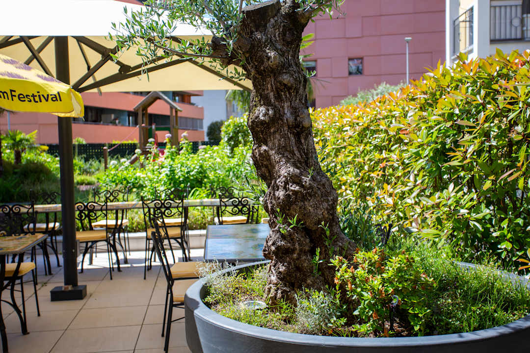 Außenansicht Hotel Bellavista Locarno