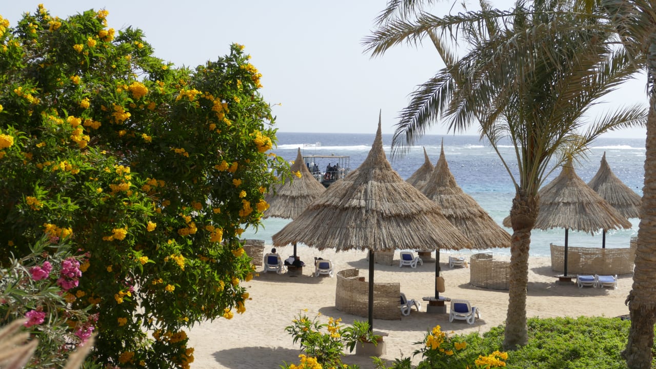 Strand Mövenpick Resort El Quseir