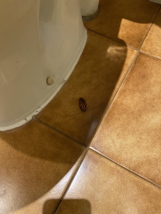 Zimmer Adaaran Select Meedhupparu Island Resort - Premium All Inclusive