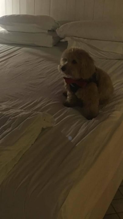 Bett The Marmara Antalya Hotel