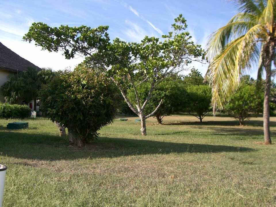 Gartenanlage Hotel Tuxpan Varadero