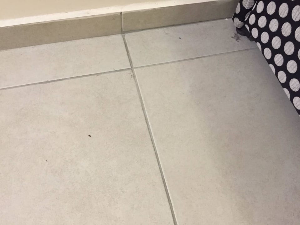 Versiffter Boden AQI Pegasos World