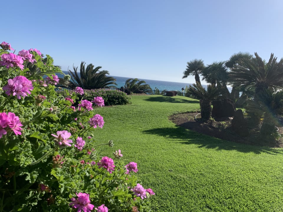 Gartenanlage R2 Pajara Beach