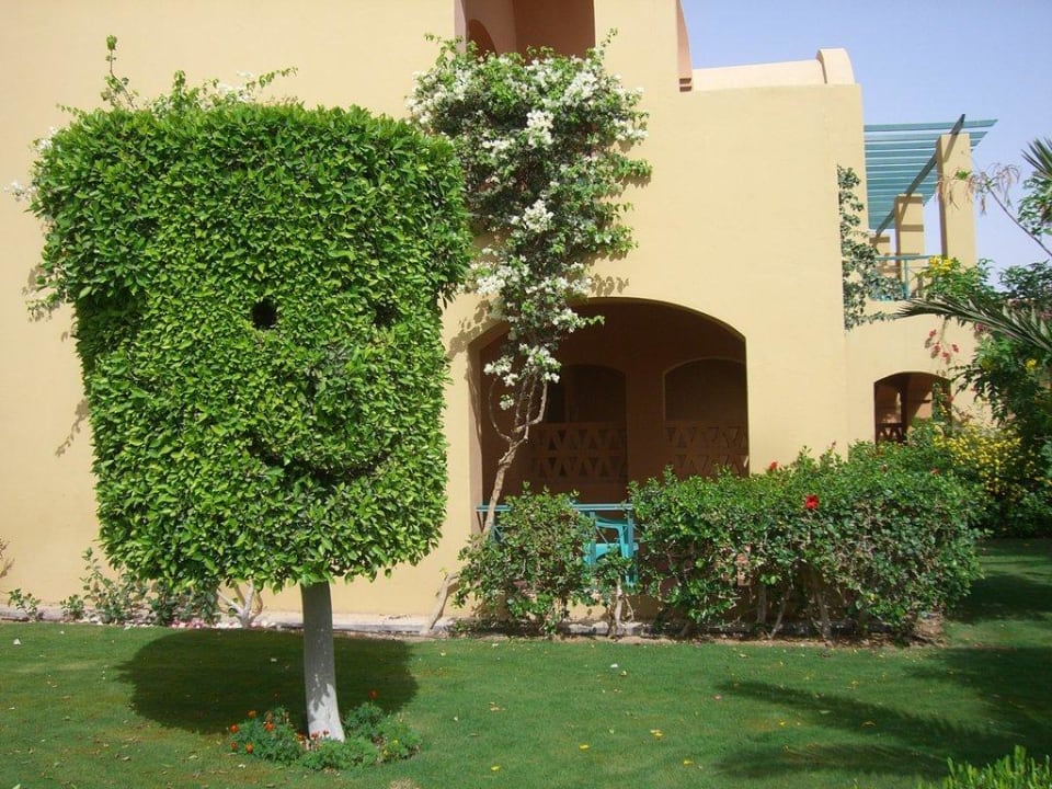 Smail Jaz Makadi Gardens - TUI BLUE Makadi Gardens - Adults Friendly 16 Years Plus