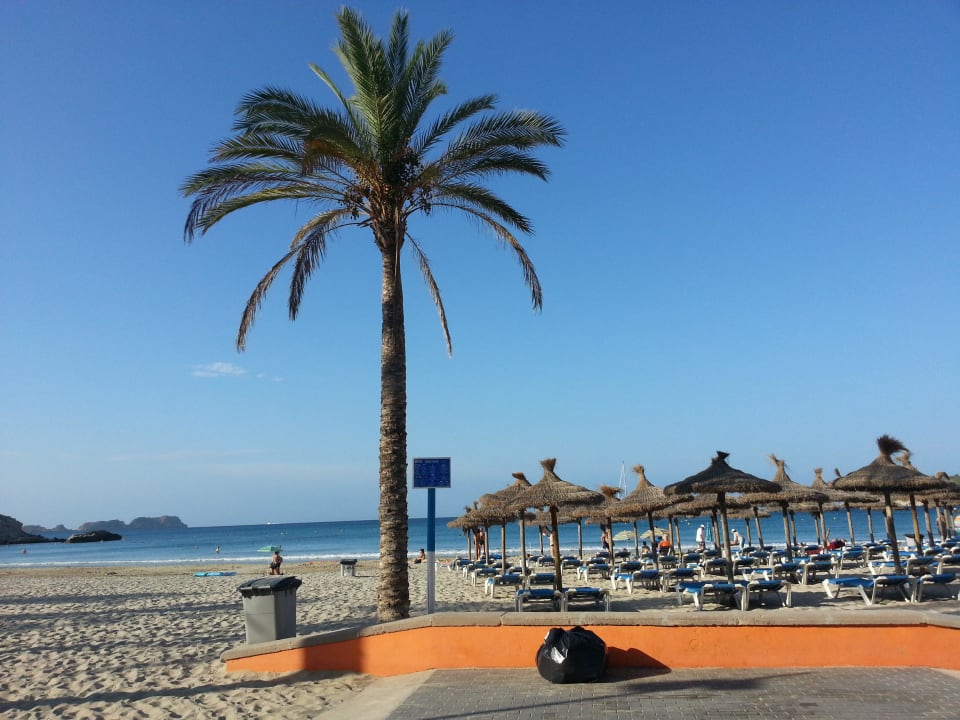 Am Morgen Valentin Reina Paguera