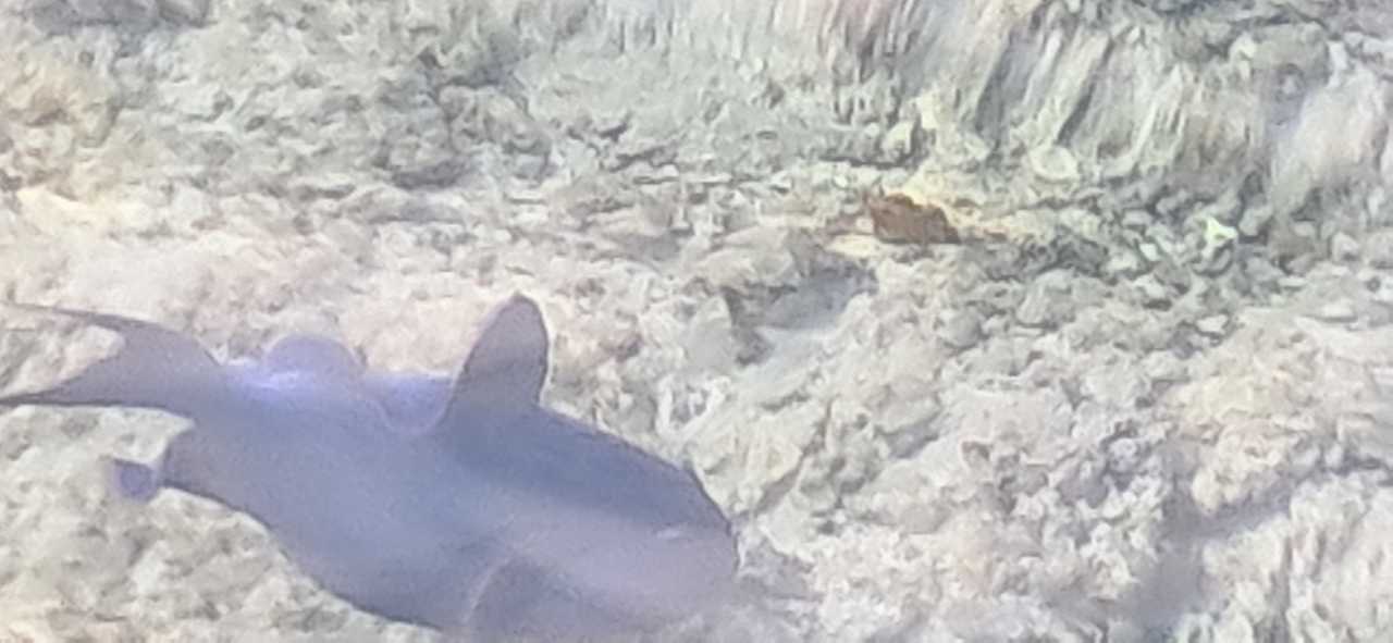 Sonstiges Stella Beach Resort & Spa Makadi Bay