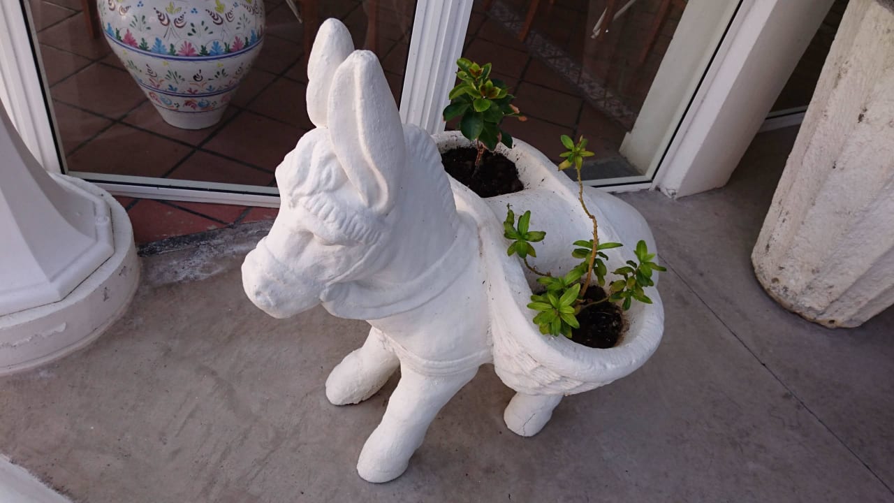 Eselchen Hotel RF San Borondon