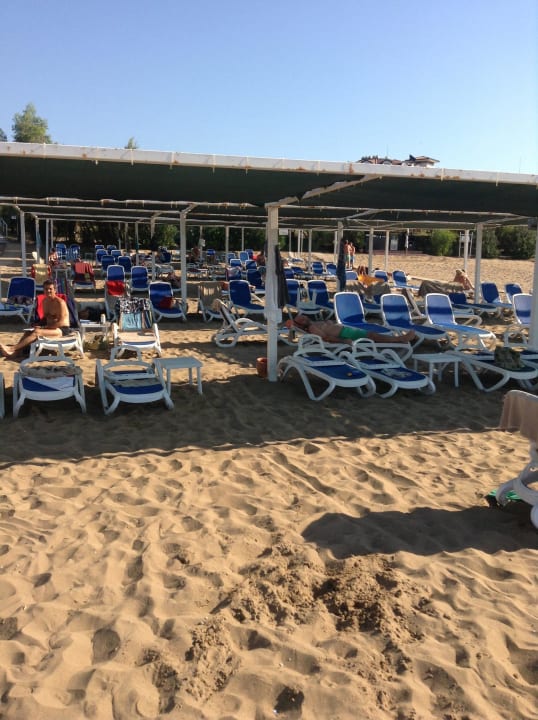 Teil unseres Strandabschnittes Alba Resort Hotel