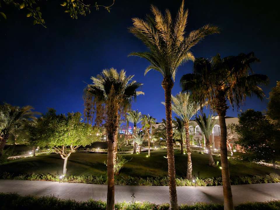 Sonstiges Desert Rose